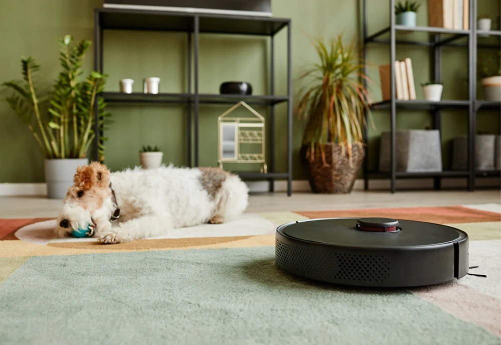 robotic vacuum cleaner with map navigation function